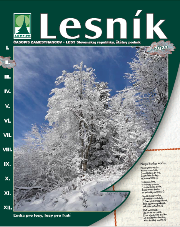 lesnik 2 | WebJET CMS