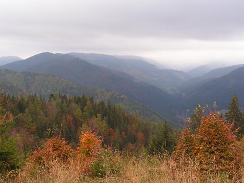 Panoramatický pohľad na zalesnené hrebene
