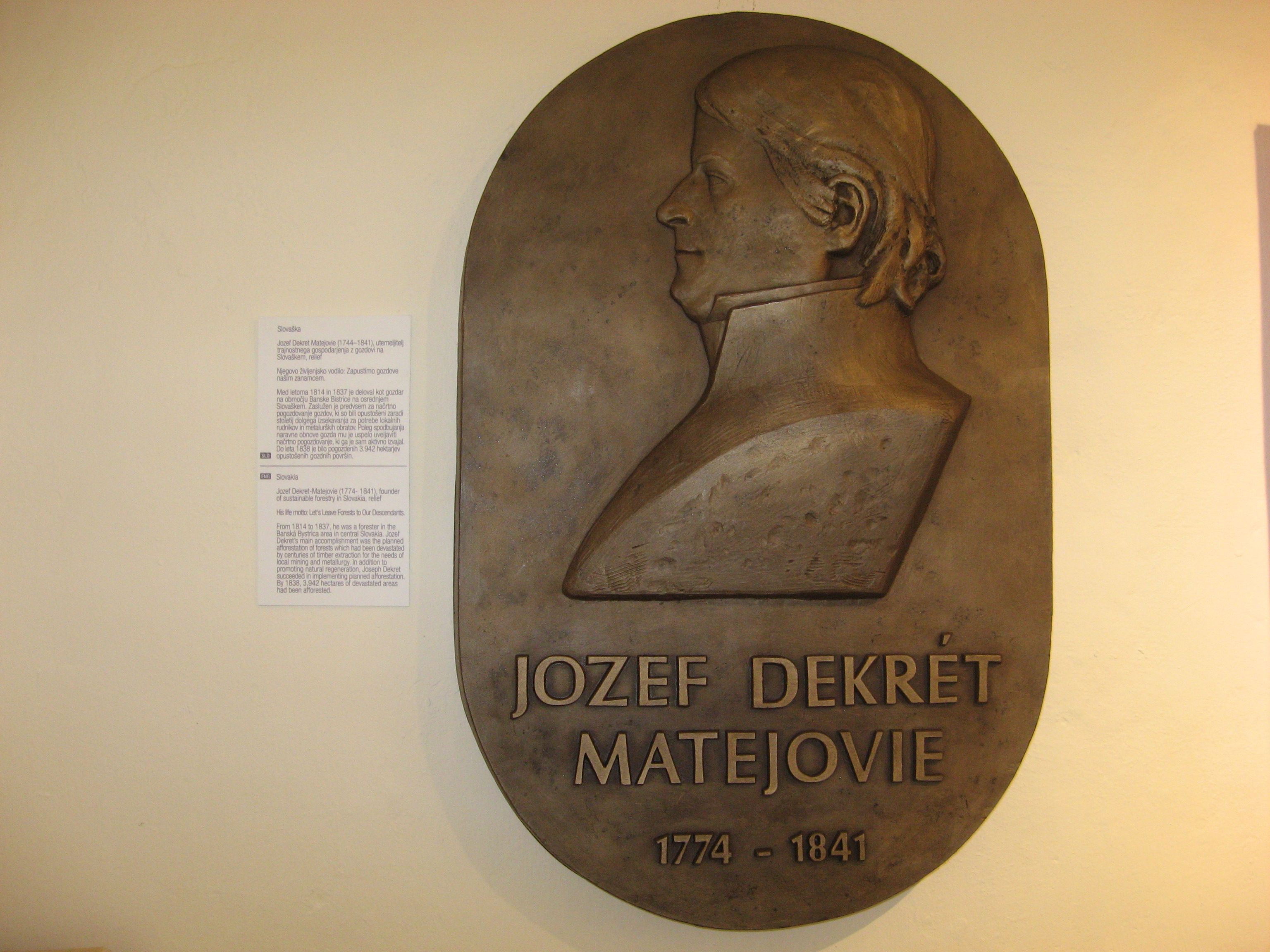 img 5564 | WebJET CMS