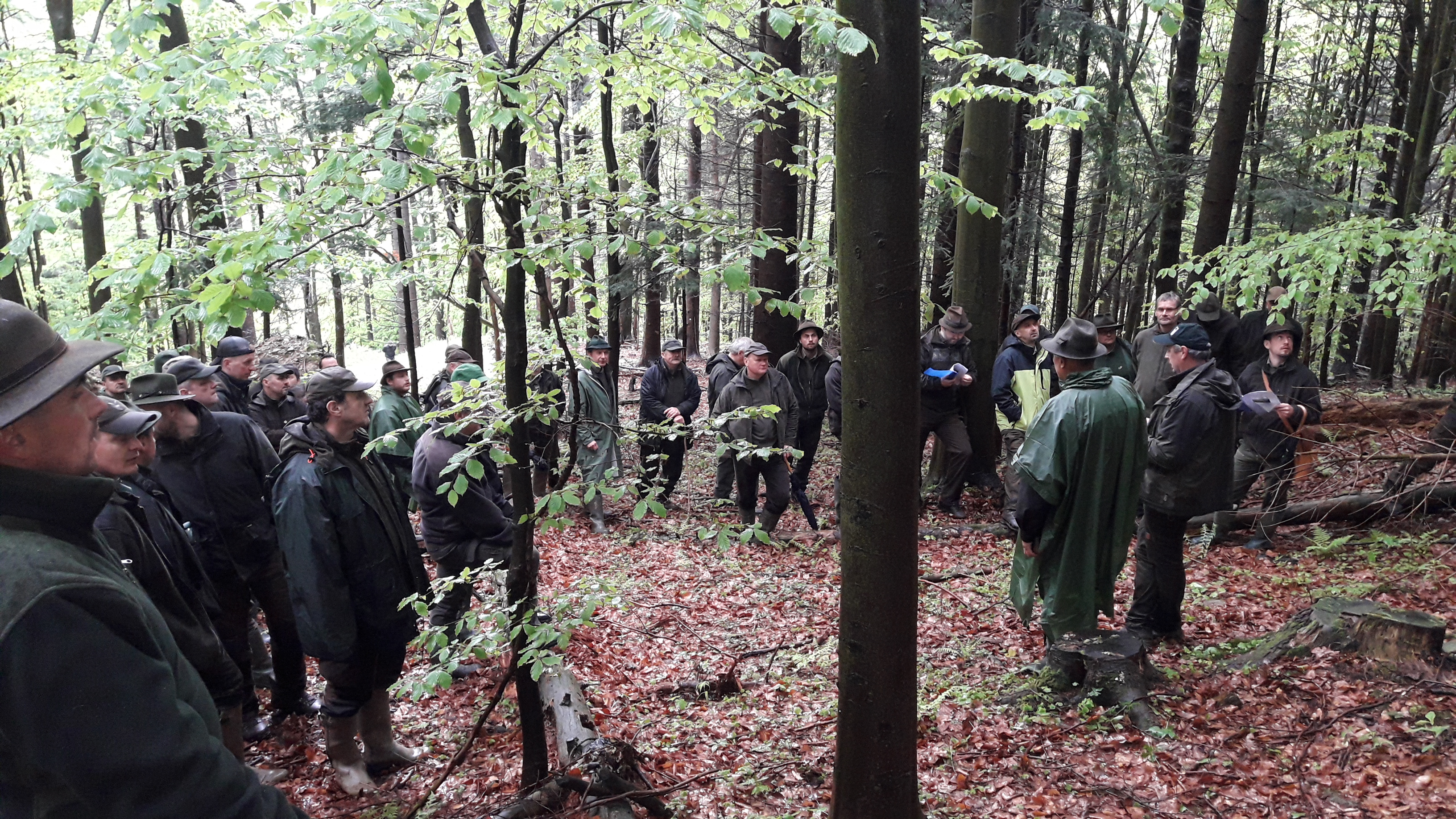 20190523 105303 | WebJET CMS