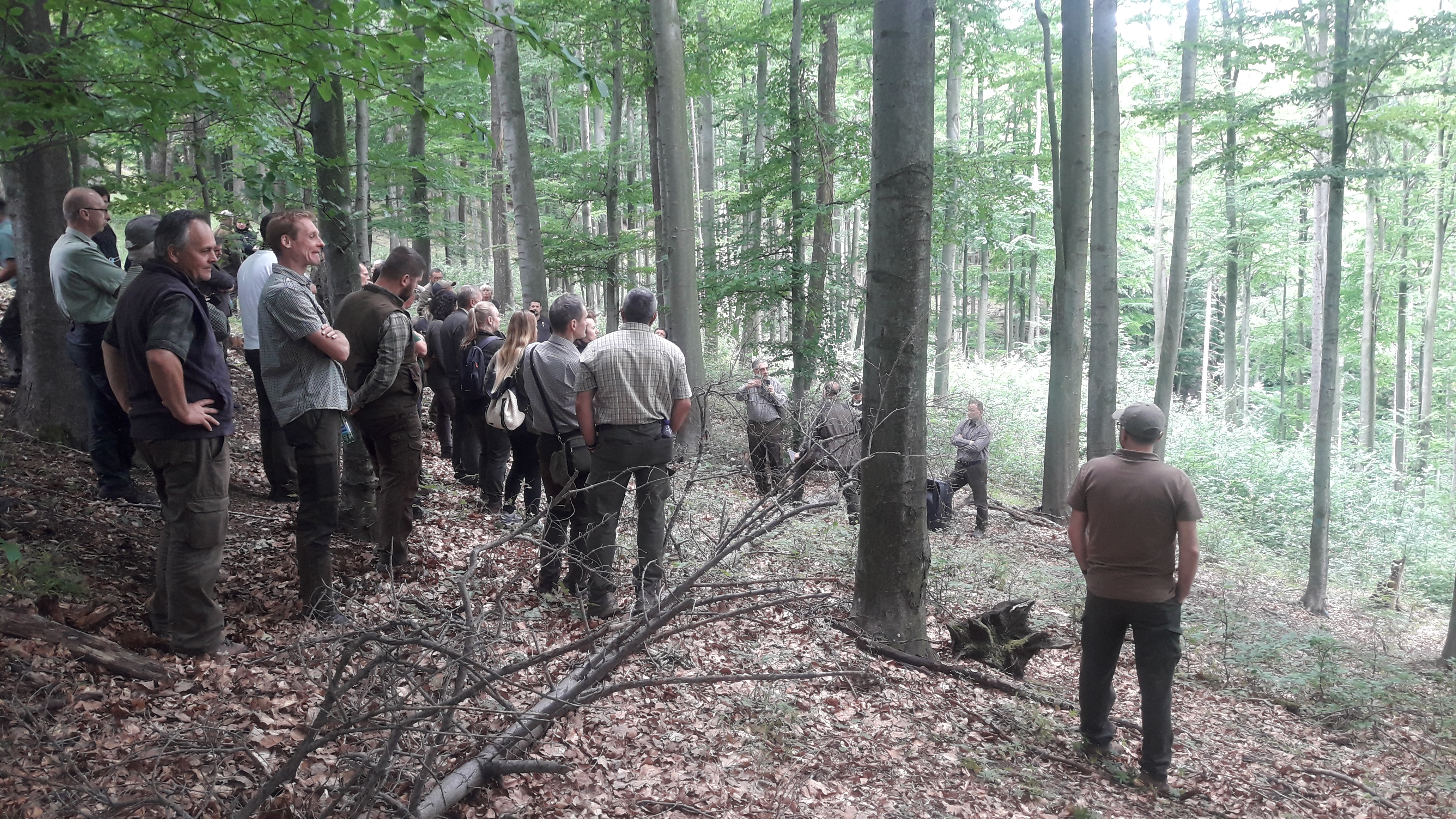 20200713 111015 | WebJET CMS