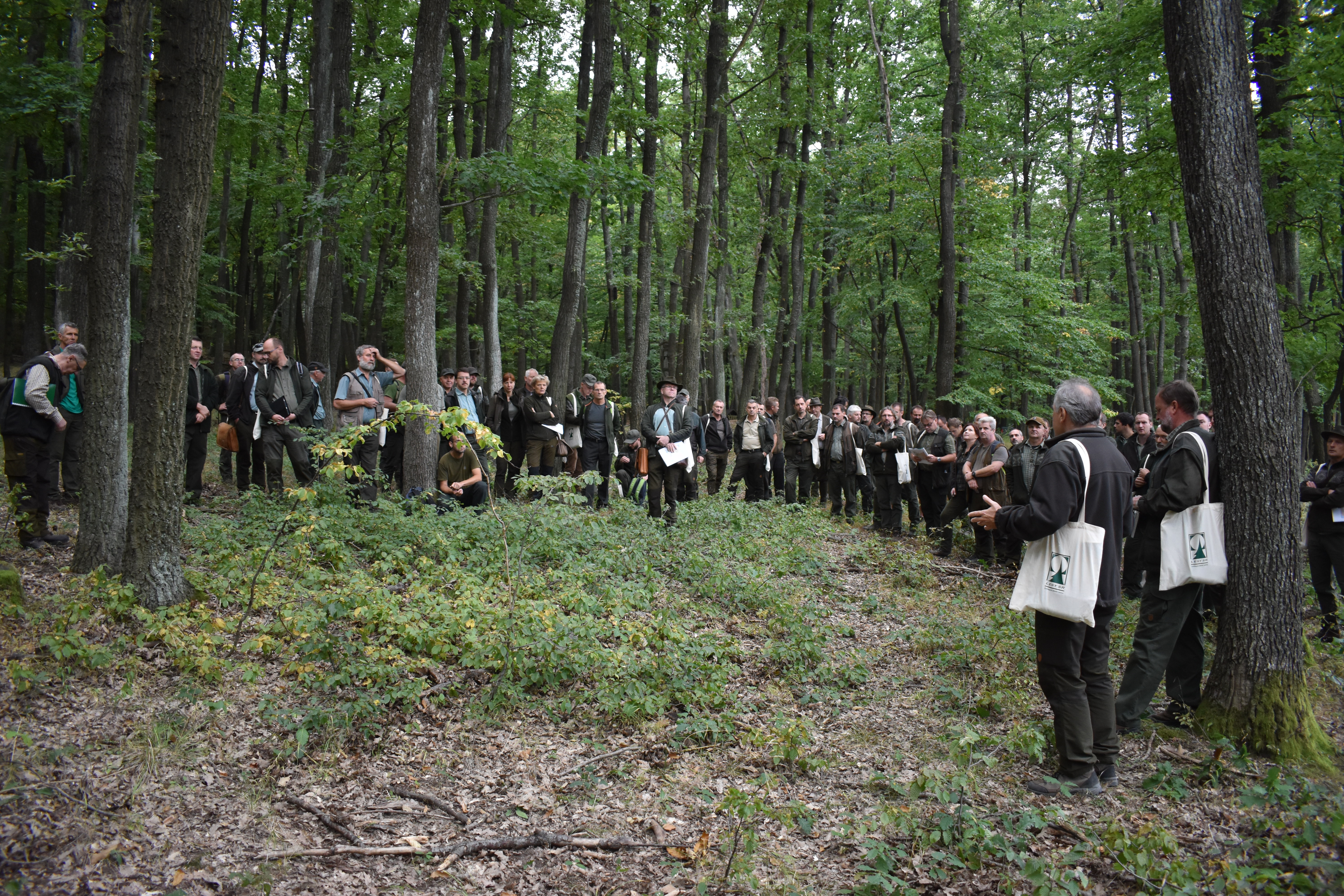 dsc 1045 | WebJET CMS