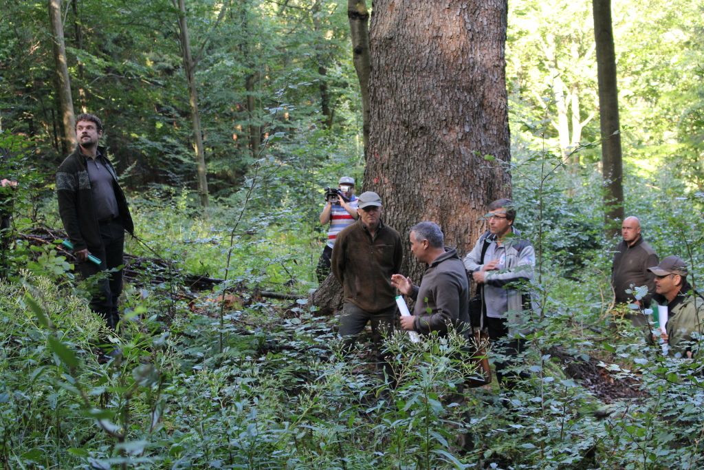 img 4463 v | WebJET CMS