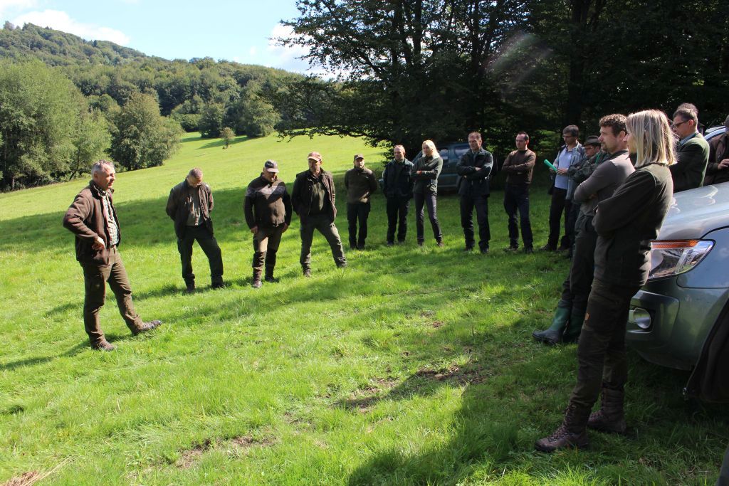 img 4500 v | WebJET CMS