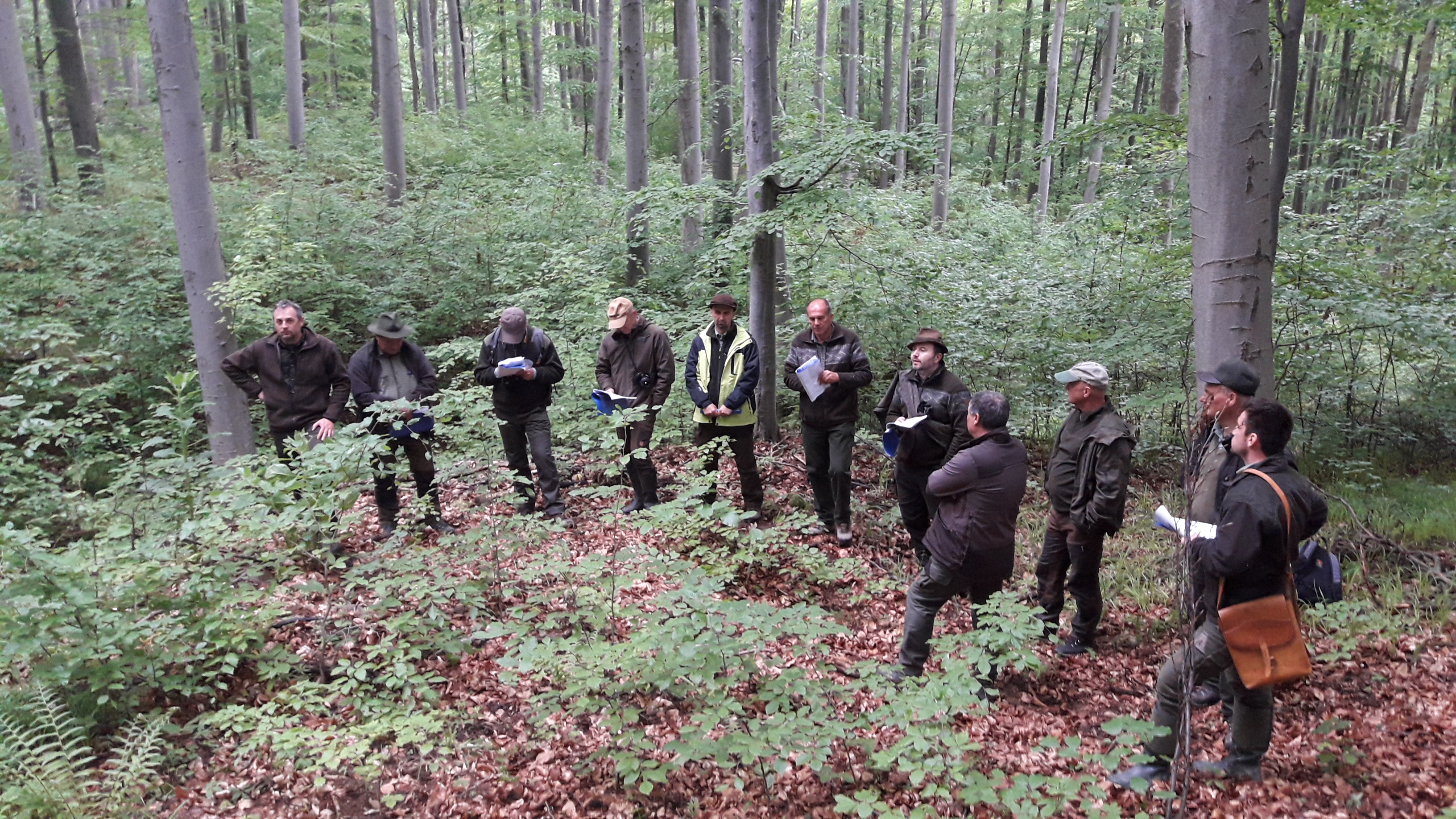 20190522 165507 | WebJET CMS