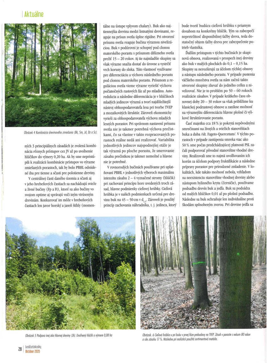 konecny3 | WebJET CMS