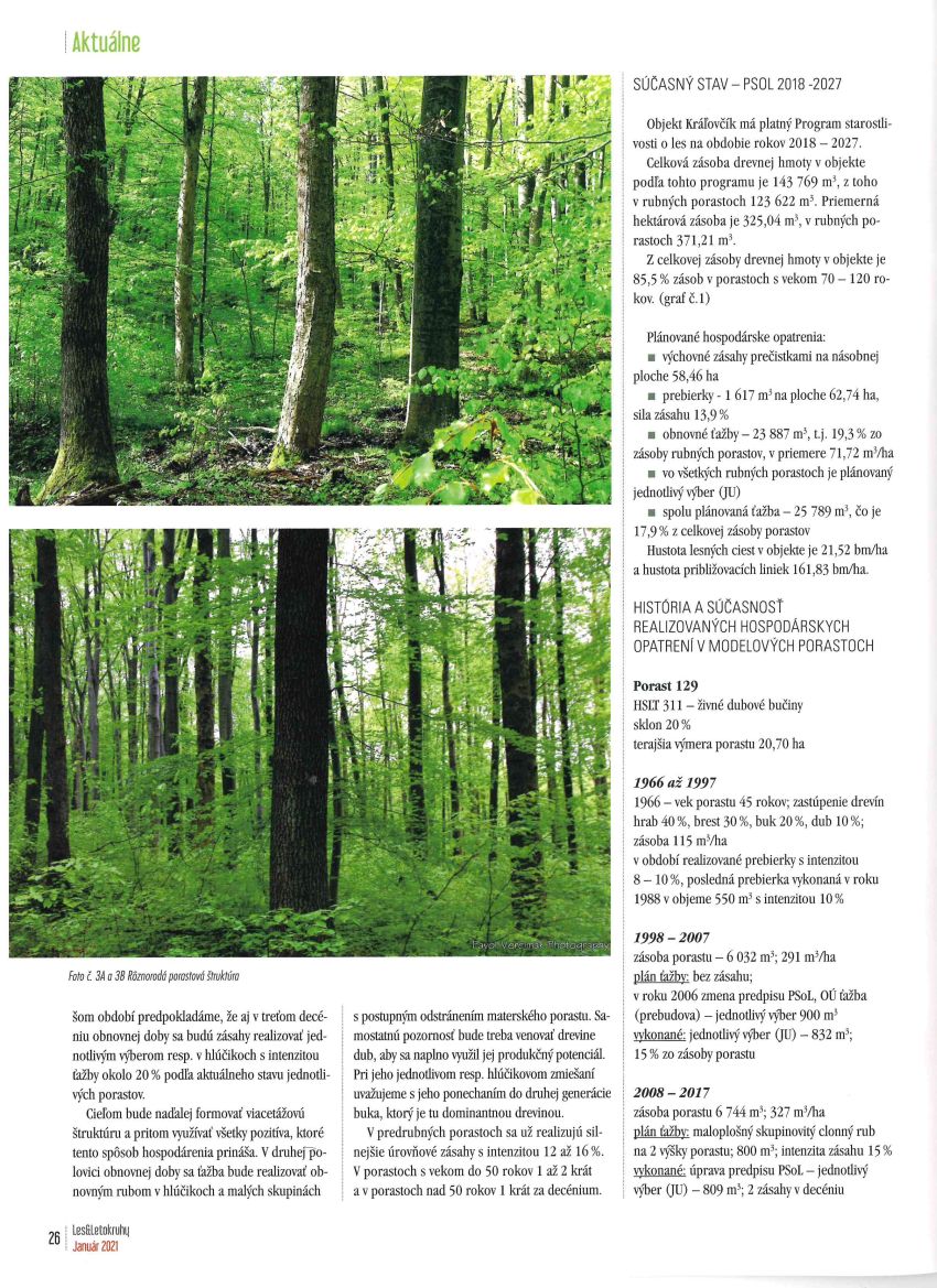 kralovcik3 | WebJET CMS