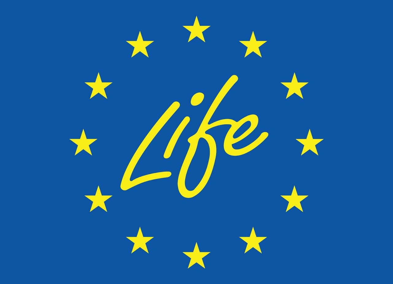 Obrázok Life logo