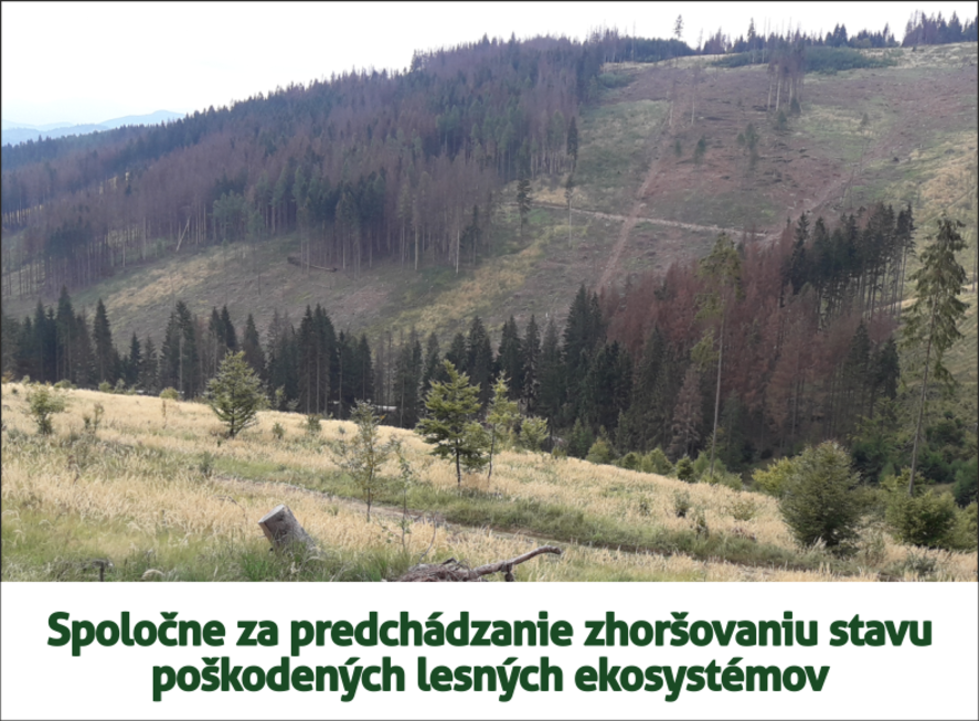 Odkaz sk cz lesvital