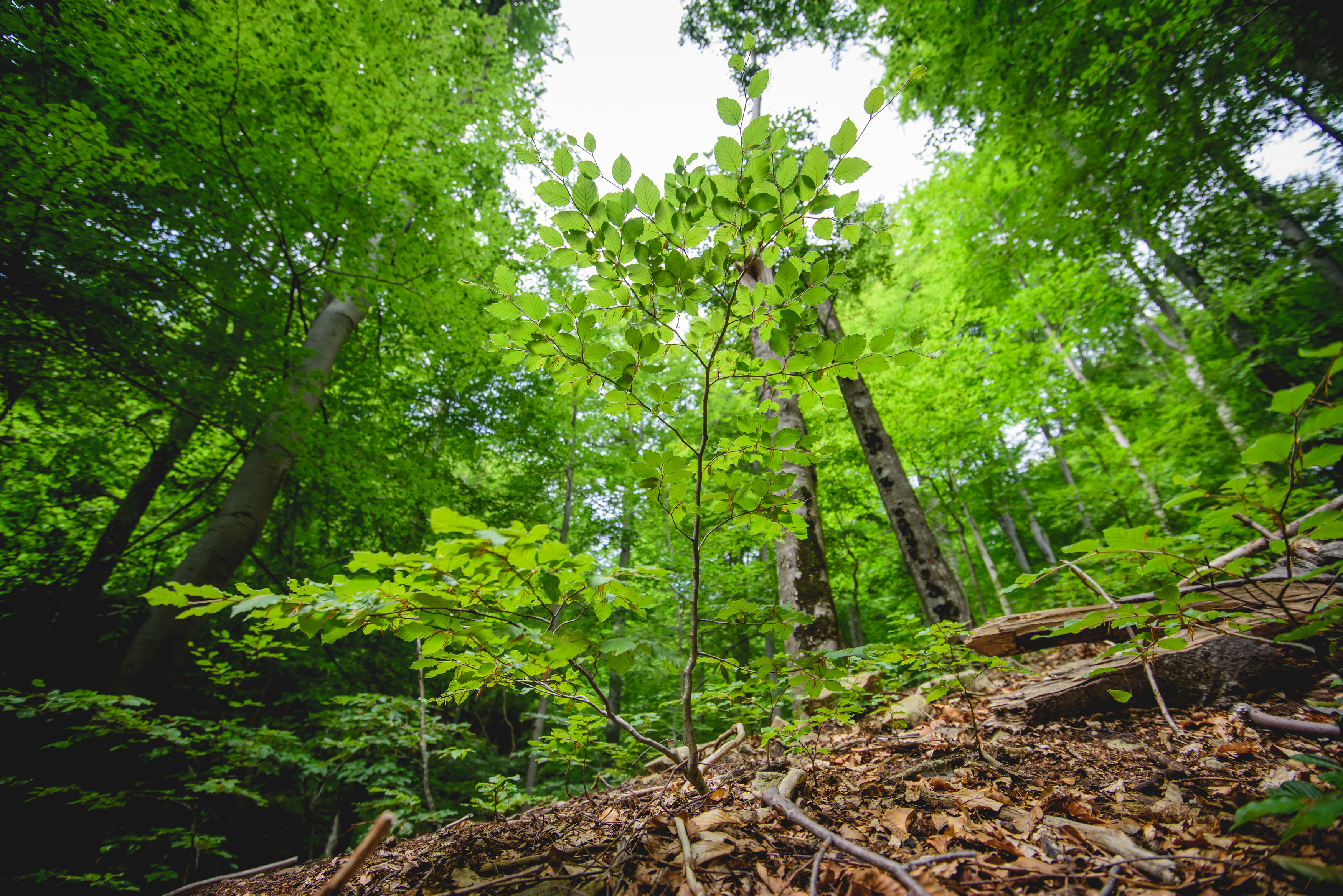 dsc6747 | WebJET CMS