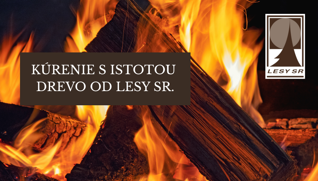 ilustračný obrázok, štiepané drevo v krbe