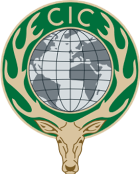 logo CIC