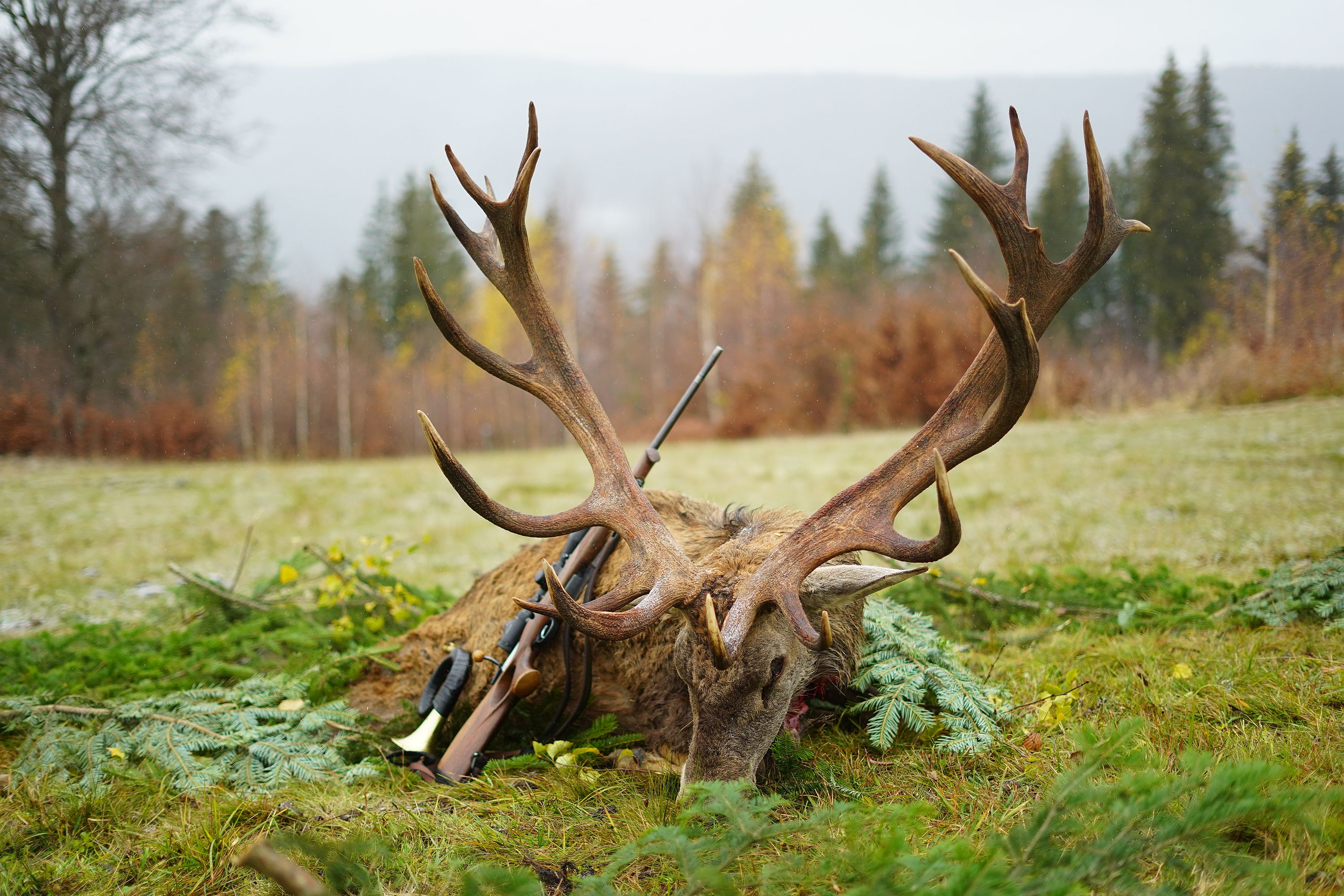 dsc07239 | WebJET CMS