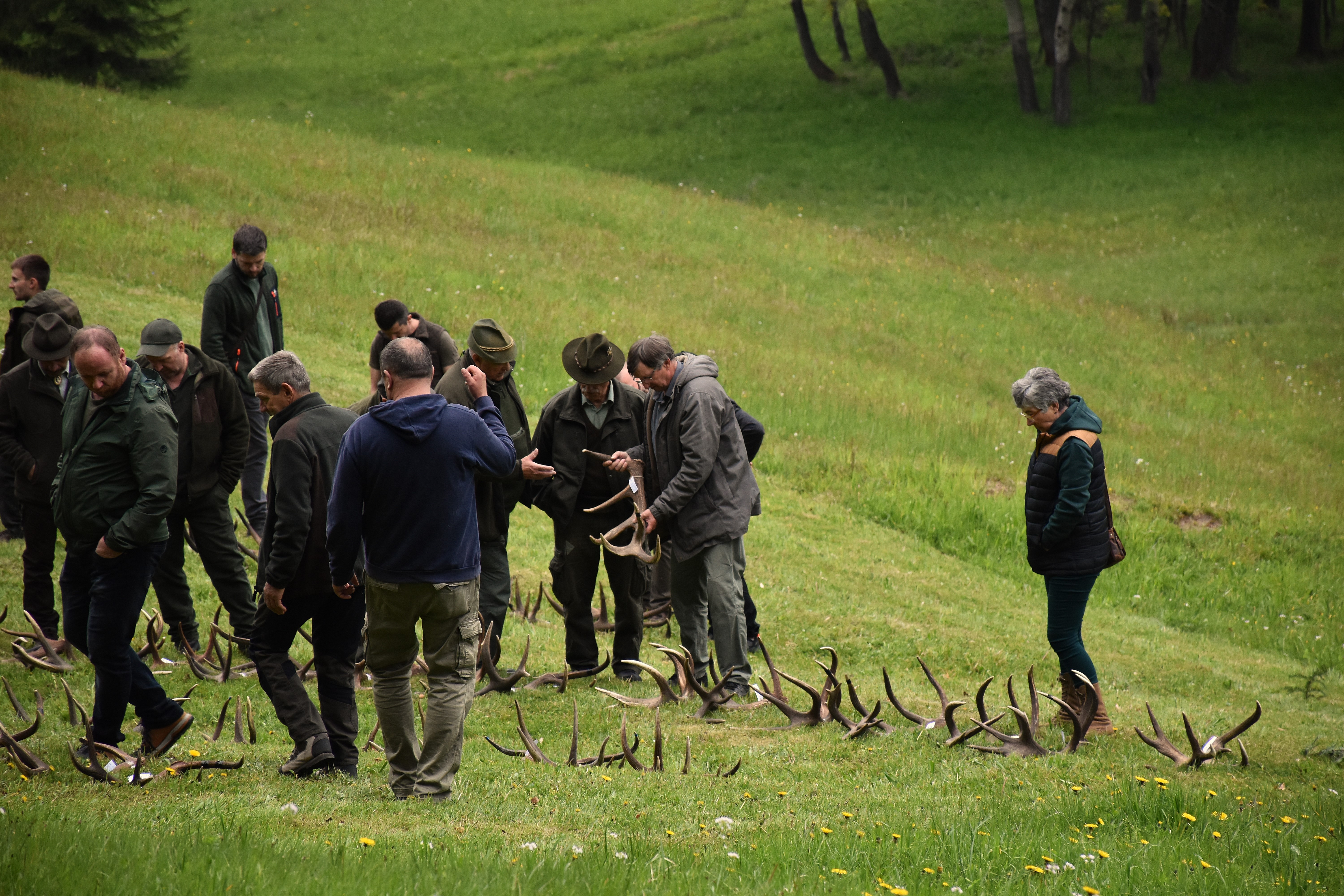 dsc 0210 | WebJET CMS