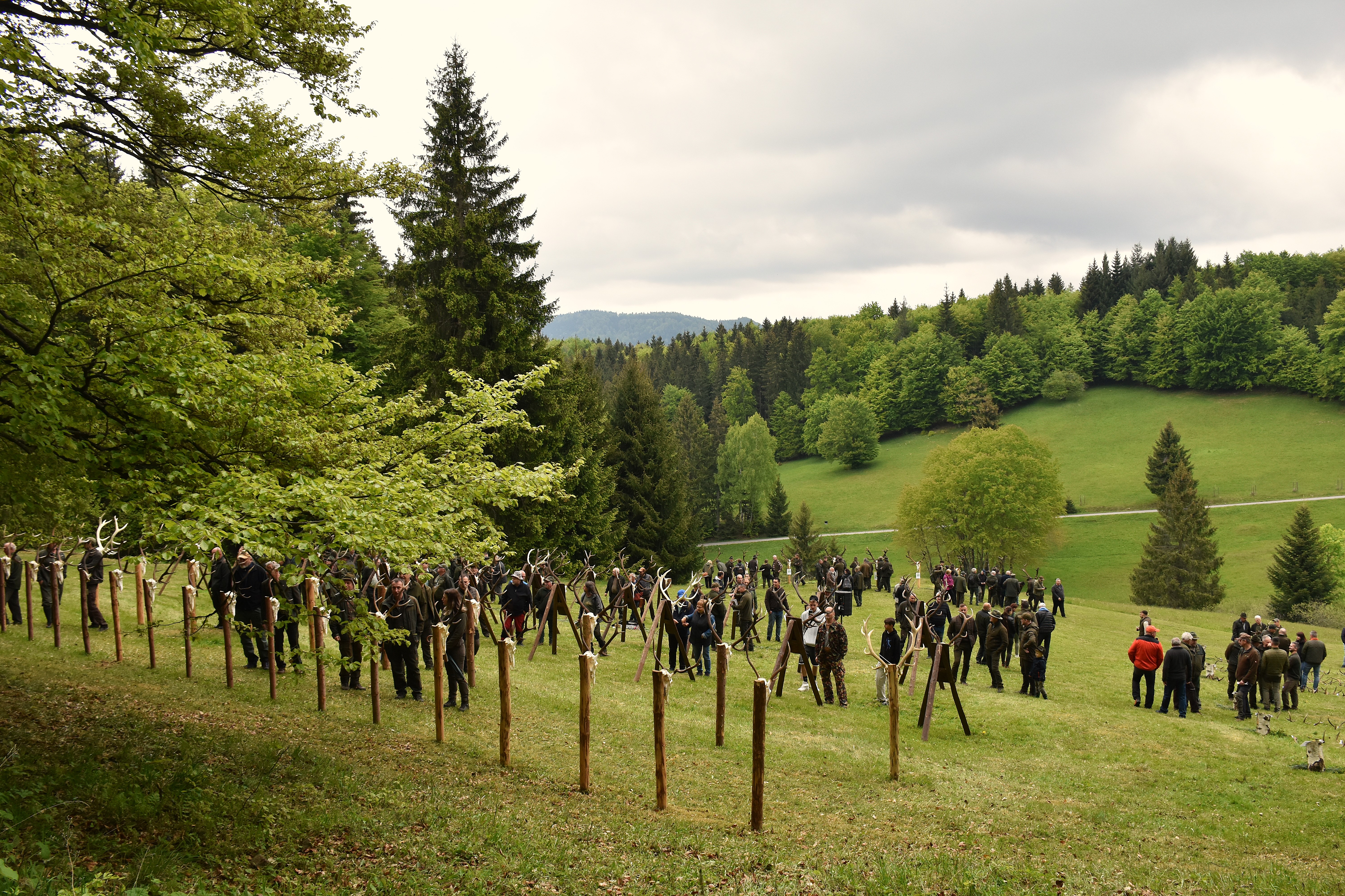 dsc 0213 | WebJET CMS