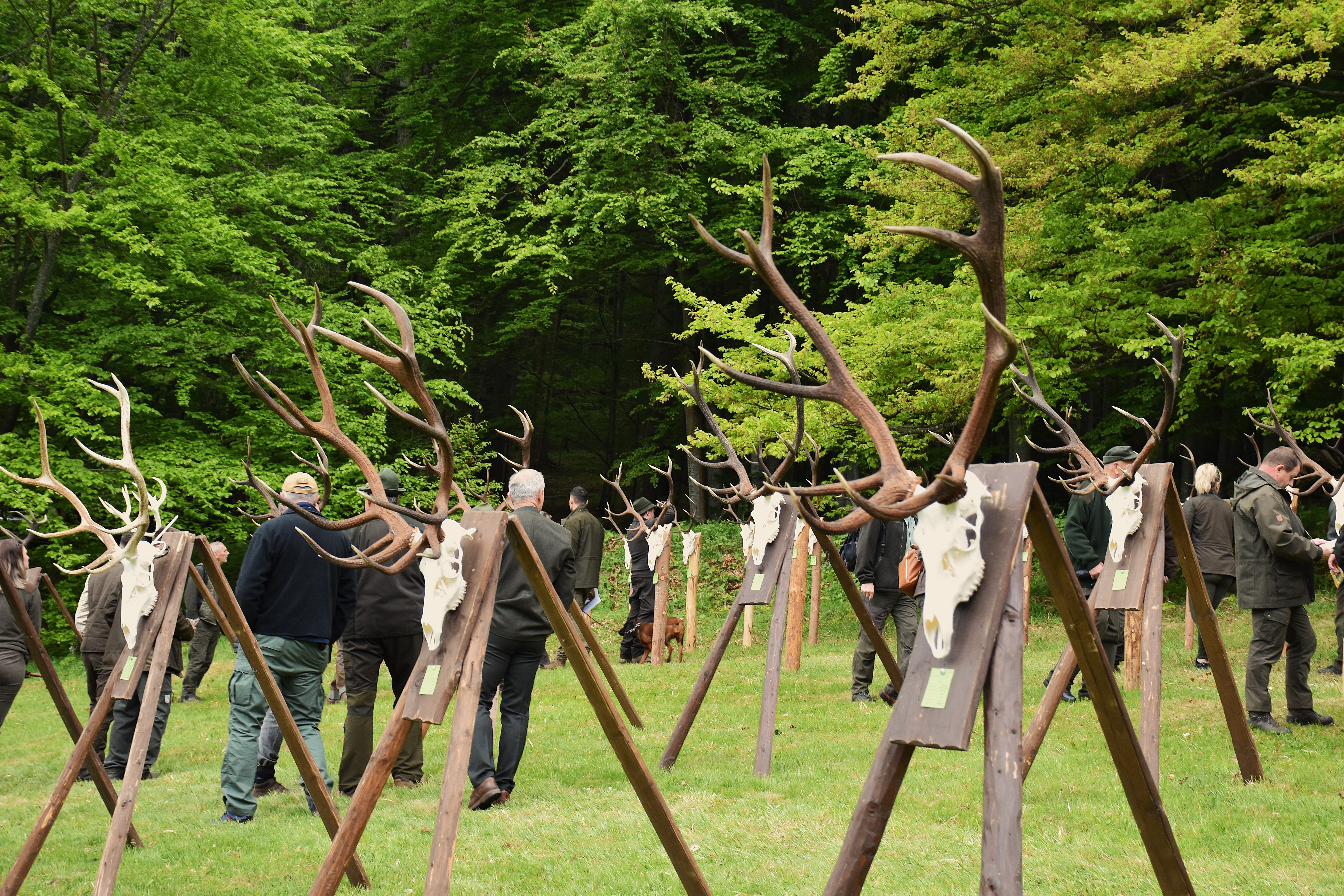 dsc 0225 | WebJET CMS