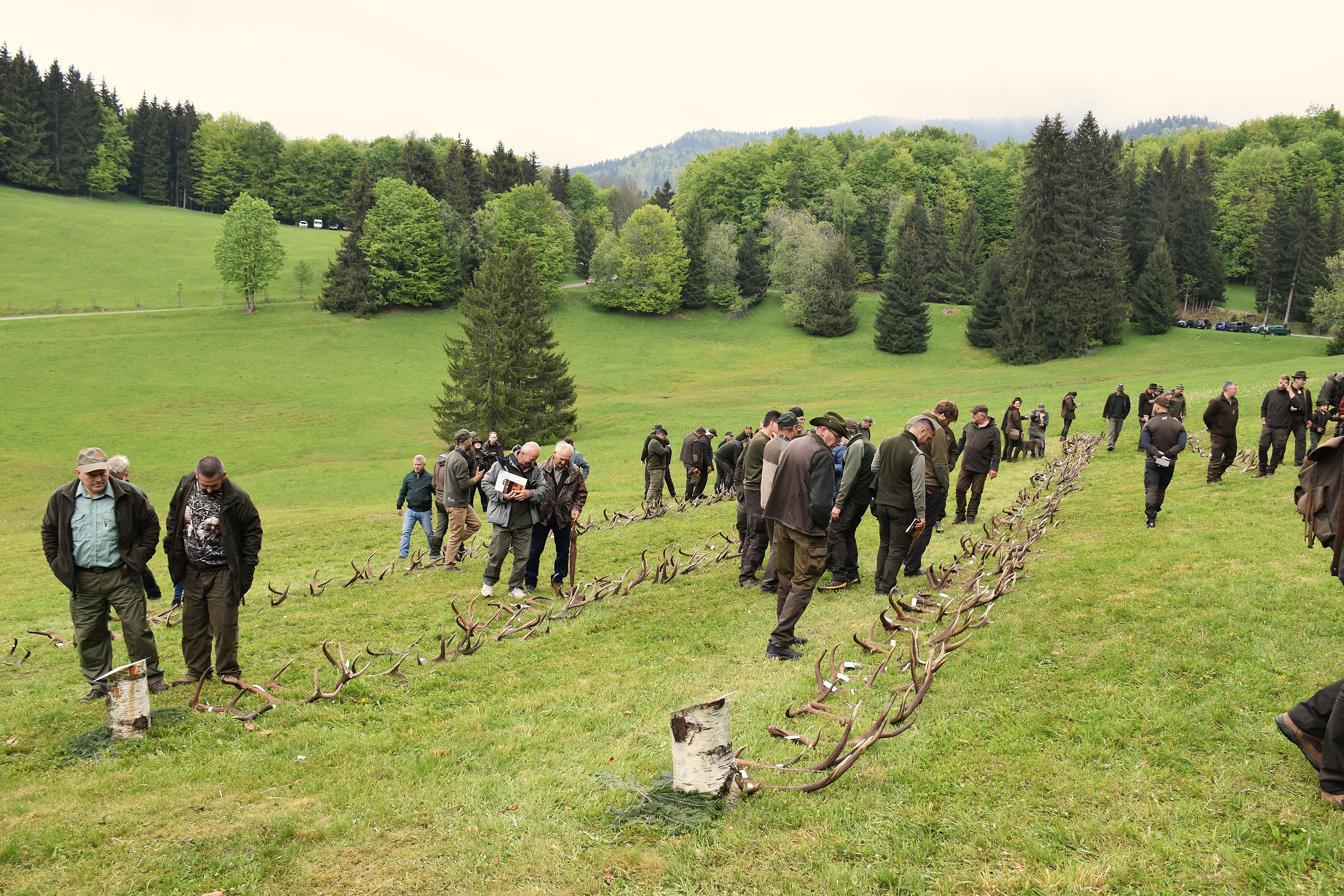 dsc 0366 | WebJET CMS