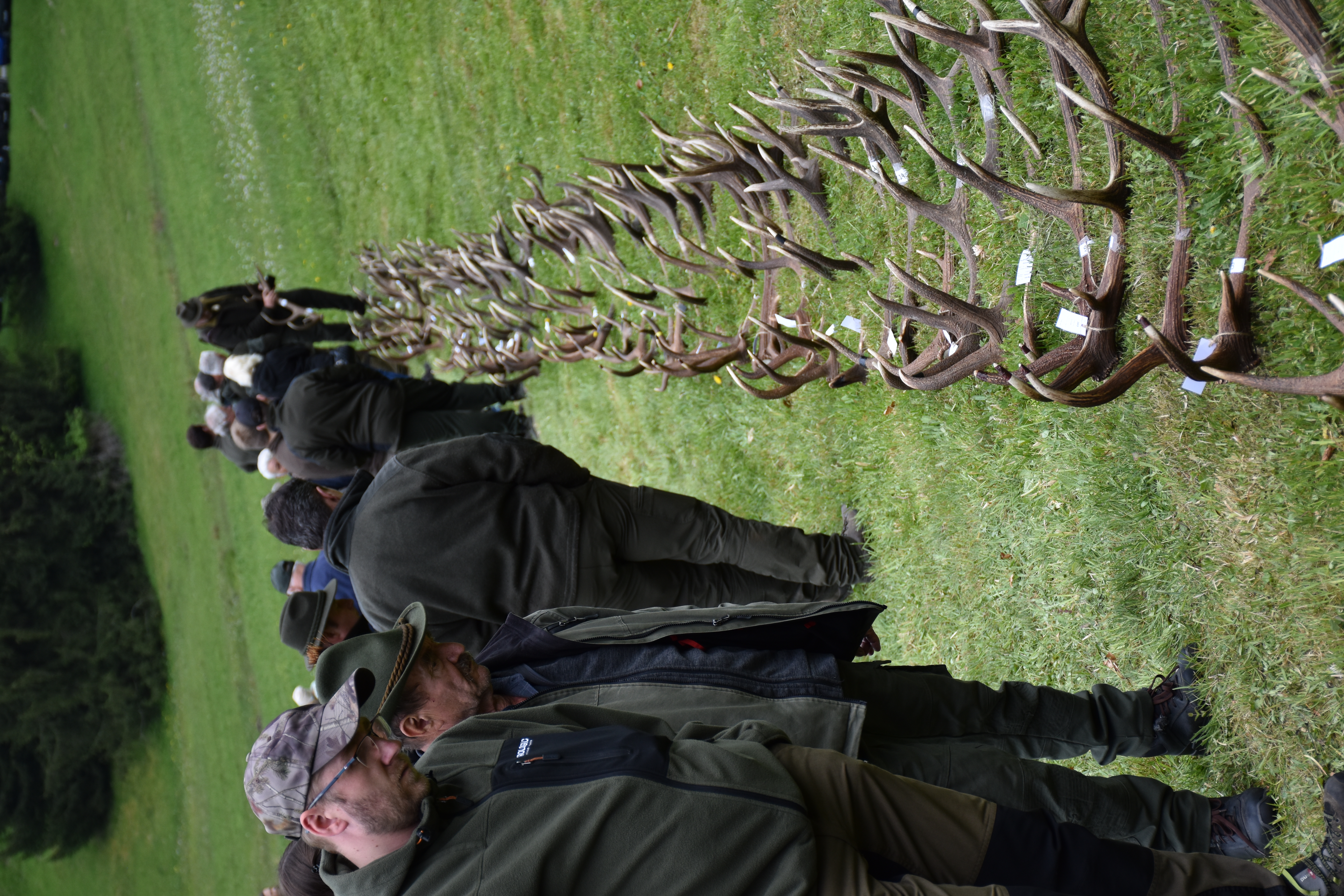 dsc 0437 | WebJET CMS