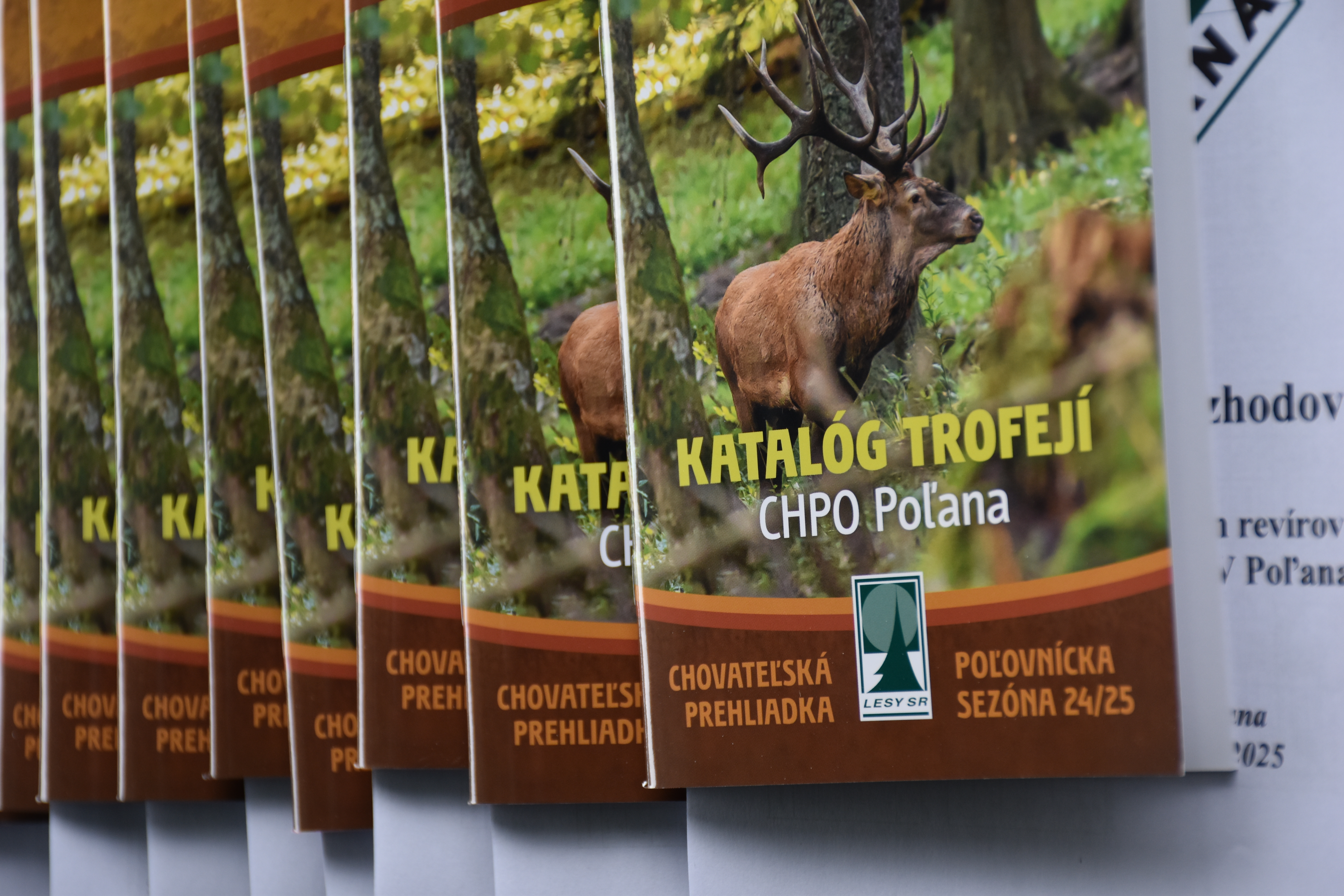 dsc 0560 | WebJET CMS