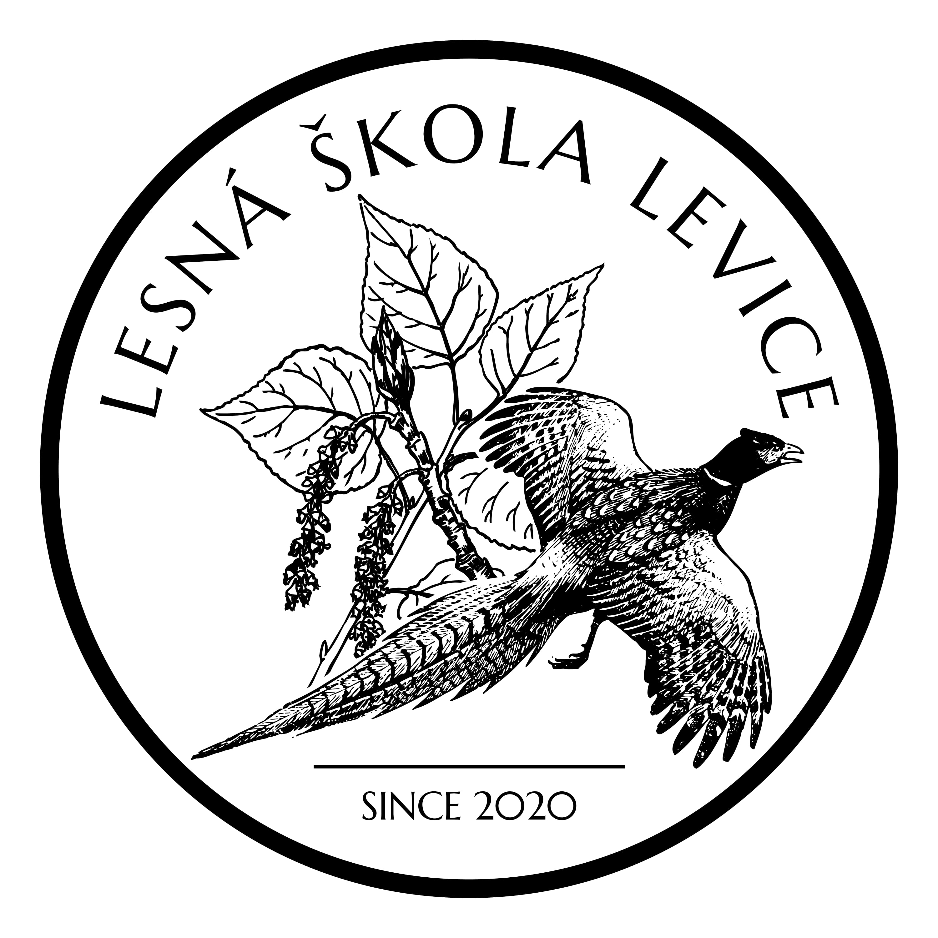 lesna skola levice 1 | WebJET CMS