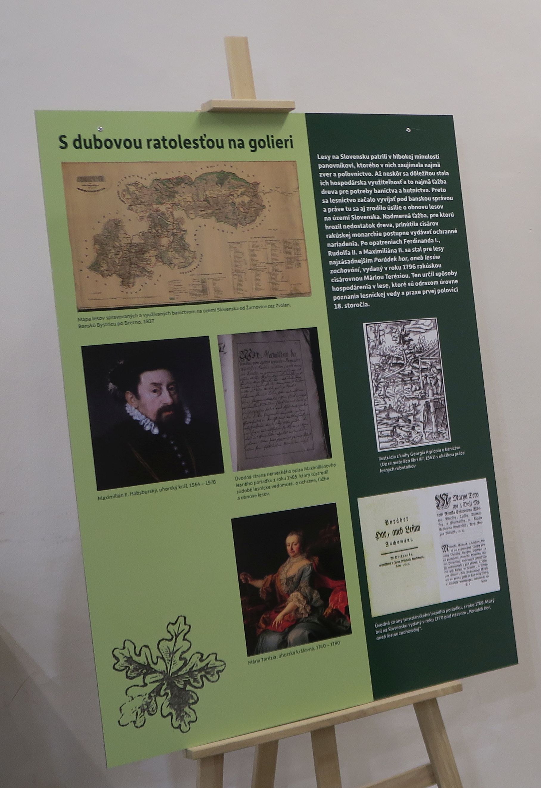Výstava S dubovou ratolesťou na golieri