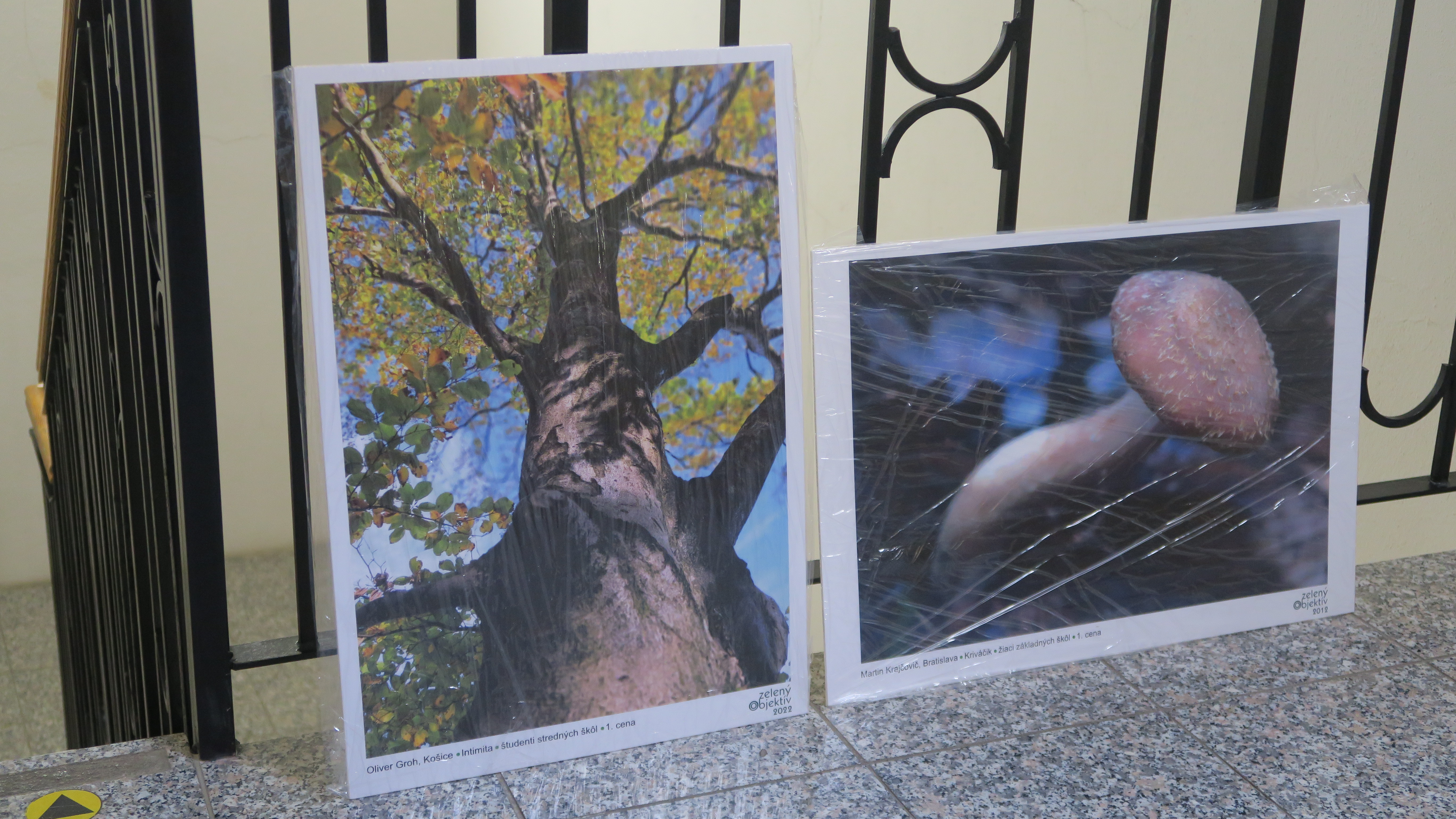 Výstava Zelený objektív Výstava Zelený objektív