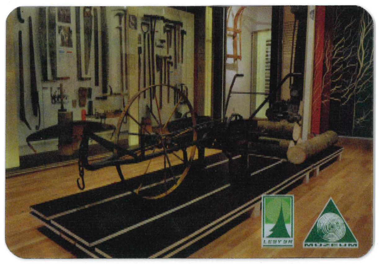 Magnetka expozícia Hlas lesa Magnetka expozícia Hlas lesa