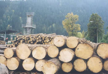 Obrázok Drevo